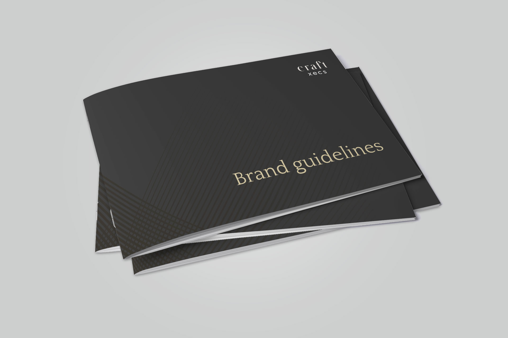 CraftXecs brand guidelines document showing the close book cover.