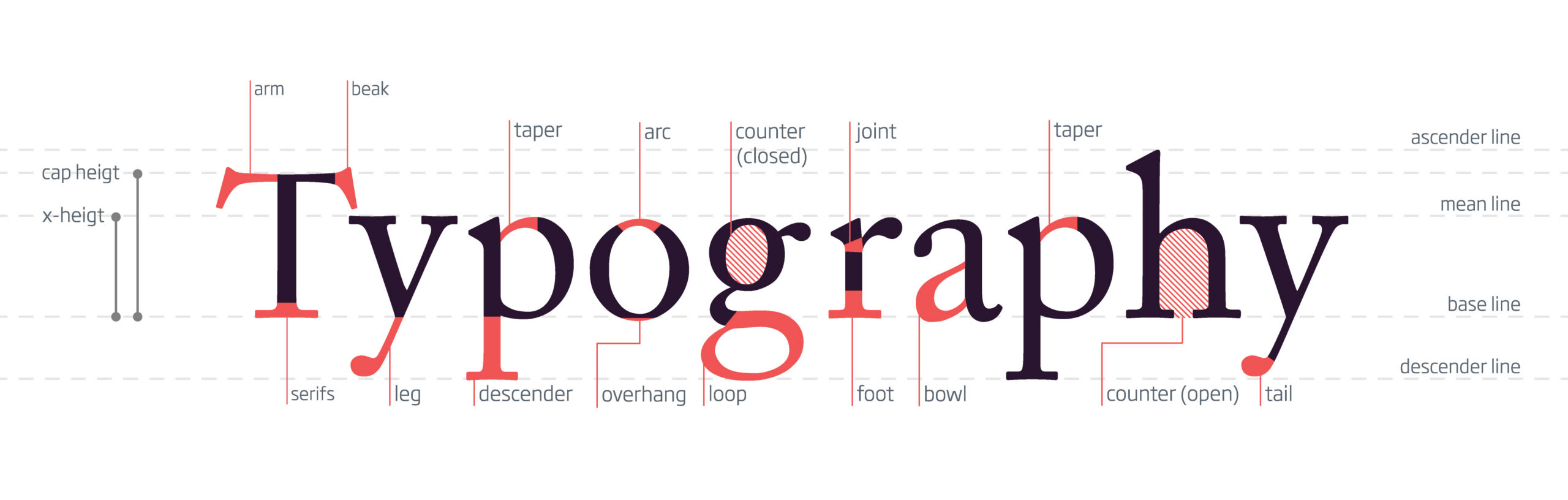 Type anatomy.